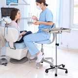 Rolling Steel Mayo Tray Medical Instrument Stand I