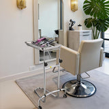 Rolling Steel Mayo Tray Medical Instrument Stand III